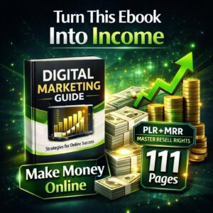 The Income Blueprint | 111-Page Digital Marketing Ebook (PLR + MRR)